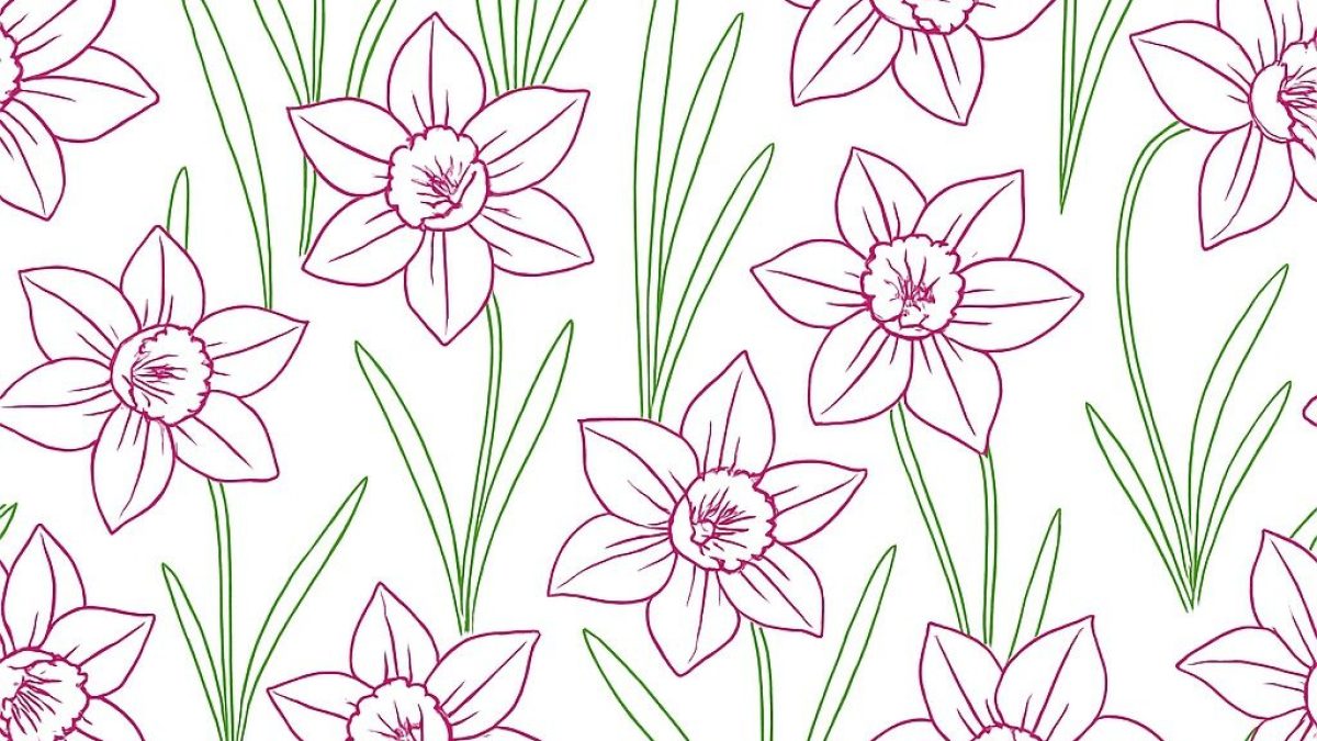 VILLA VERDI_Narzissen_Weiss_Magenta_Gruen